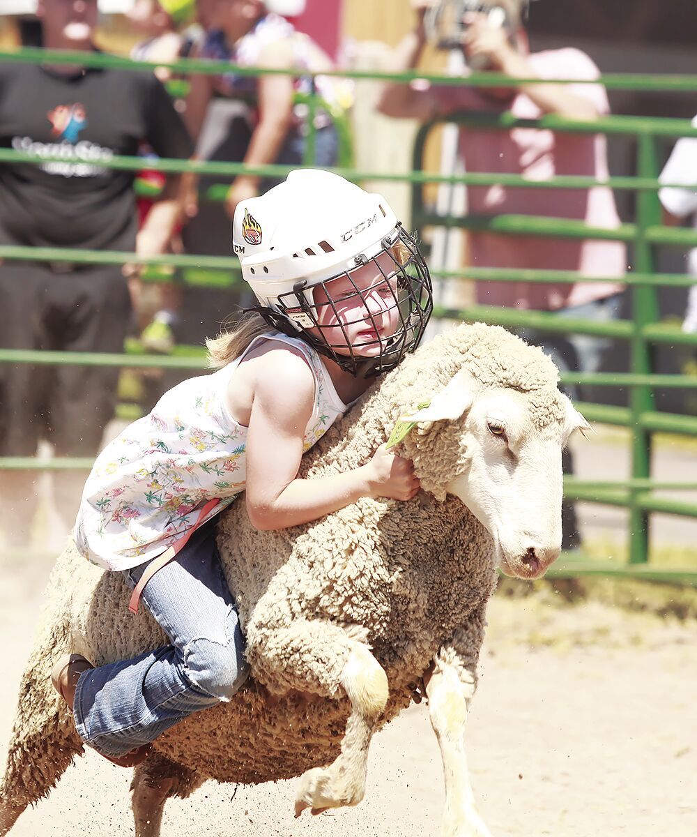 Fun at the Fairgrounds makes summertime sweet
